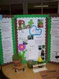 Pictures of Quick Science Fair Projects