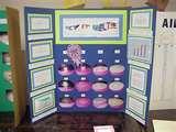 Pictures Of Science Fair Projects Pictures