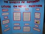 Last Minute Science Fair Projects Photos
