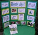Pictures of Great Science Fair Projects