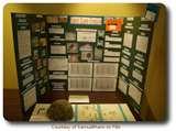 Examples Of Science Fair Projects