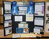 Photos of 1st Place Science Fair Projects