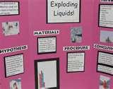 Science Fair Projects For 1st Graders Images