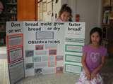 Photos of 4th Grade Science Project