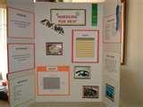 Photos of 3rd Grade Science Project