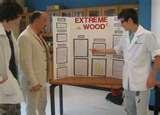 Pictures of Good 8th Grade Science Fair Projects