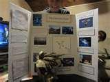 Life Science Fair Projects Images