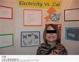 Best Science Fair Project Ever Images