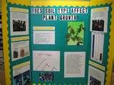 Plants Science Fair Projects Pictures