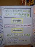 Science Fair Projects For Girls Pictures