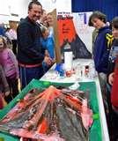 Pictures of Space Science Fair Projects