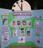 Images of 8th Science Fair Projects