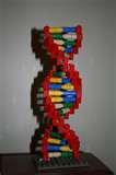 Photos of Dna Science Projects