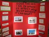 My Science Fair Project Pictures