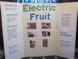 Photos of Grade 6 Science Fair Projects