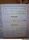 Most Popular Science Fair Projects