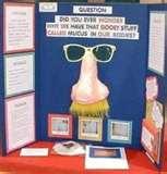 Pictures of Physical Science Fair Project Ideas